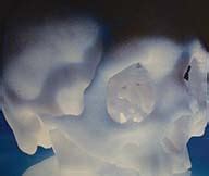 Tissue Engineering Journal 的图像结果