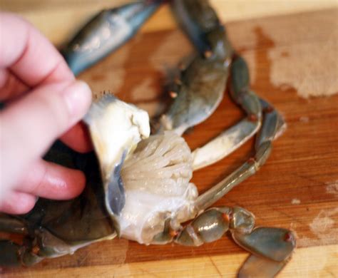 Image result for How to Clean Cook Soft Shell Crabs