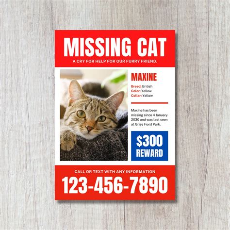 Lost Cat Poster Template