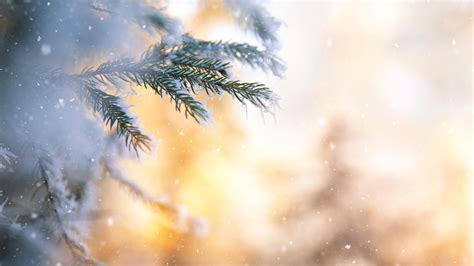 Emmet County weather forecast for Monday, Jan. 12: Mostly cloudy