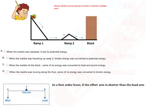 Best Class 6 Study Material – tagged "NSO Worksheets" – Olympiad tester