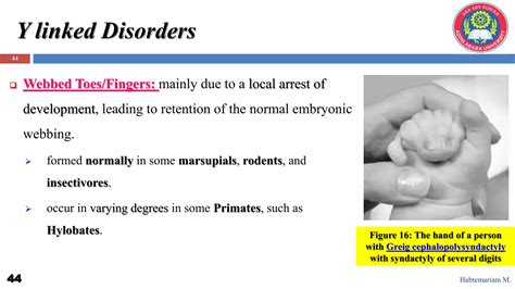 X-chromosome and sex-linked diseases.pptx