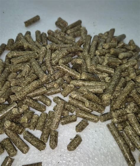 Biomass Briquette Manufacturer Distributor in rajkot