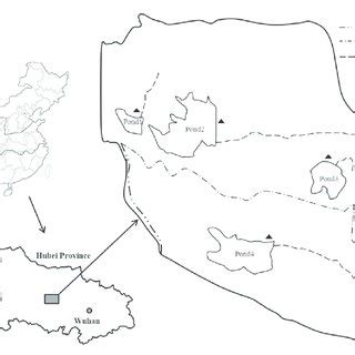 Image result for Research Layout Map