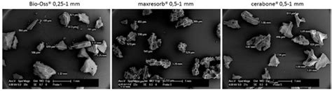 Hydrophilicity, Viscoelastic, and Physicochemical Properties Variations ...