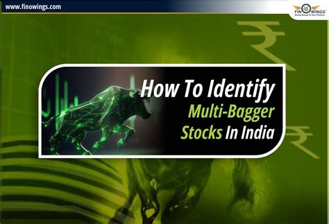 How to identify Multi-bagger Penny stocks in India & Earn Profit?