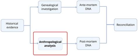 Forensic Sciences | An Open Access Journal from MDPI