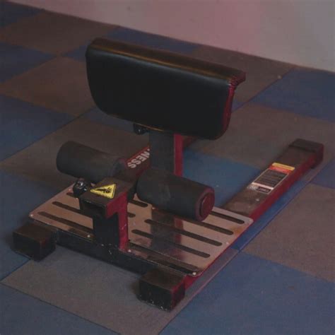 Gamma Fitness Commercial Sissy Squat/Squat Bench for Home Gym OR Comme