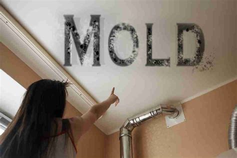 Image result for Mold Testing Santa Barbara