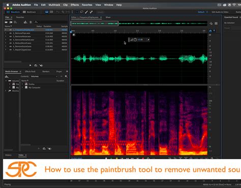 Adobe Audition Basic Tutorial 的图像结果
