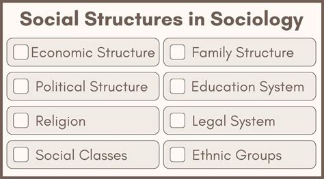 Image result for Social Structure Examples