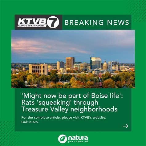 Natura Pest Control - Boise Formerly EcoSense Pest Control ...