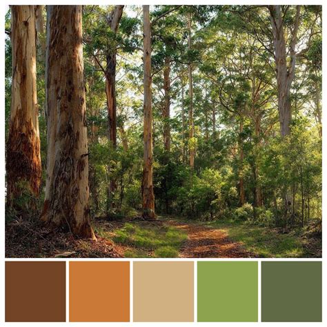 Forest Landscape Color Palette