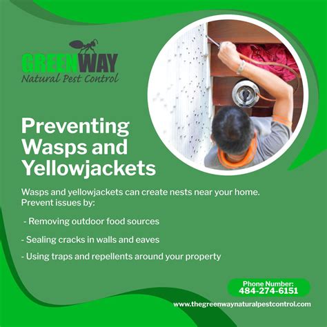 Greenway Natural Pest Control on LinkedIn: #wasps #pestcontrol #allentownpa