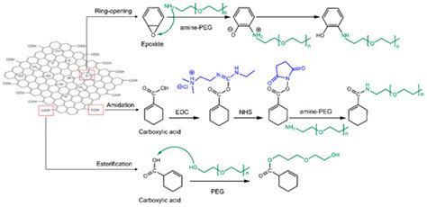 Characteristics of Graphene Oxide for Gene Transfection and Controlled ...