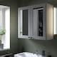 ENHET mirror cabinet with 2 doors, white/grey frame, 80x32x75 cm (311 ...