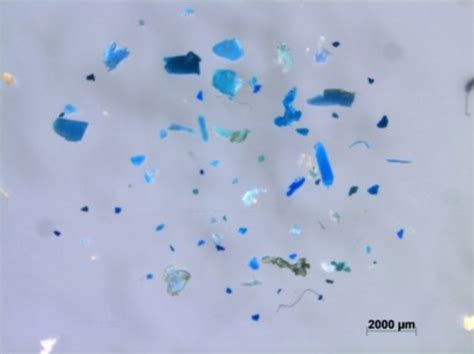Novel method of analyzing microplastic particle pollution can facilitate