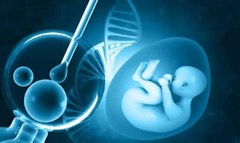 Understanding vitro fertilisation