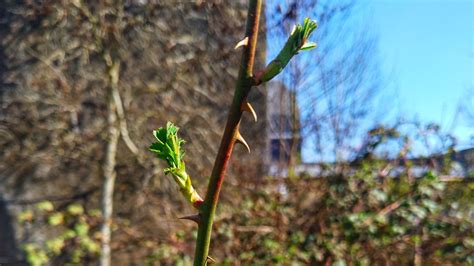 Der Hitzerekord – enjoying the postapocalypse