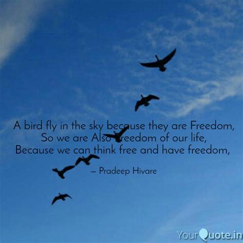 A bird fly in the sky bec... | Quotes & Writings by Pradeep H Hivare ...