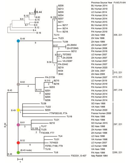 Microorganisms | Special Issue : Epidemiology of Tularemia and ...