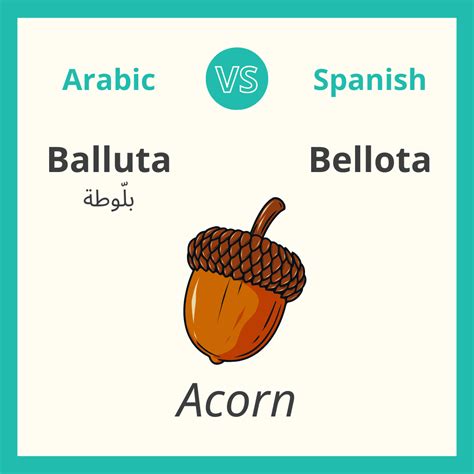 Arabic vs. Spanish, 10 Similar Words — 3arabian