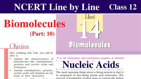 Image result for Biomolecules Class 12th