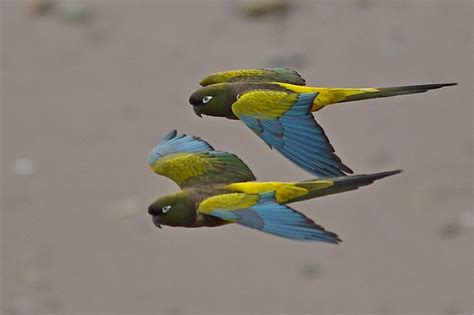 Image result for Data Visualization Tools Python Sample View vs Code