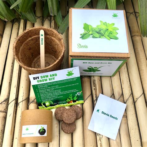 DIY Gardening 4 Greens Kits | Mint + Coriander + Italian Basil ...