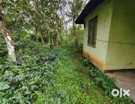 Urgent Sales with lower price - For Sale: Houses & Apartments - 1800639626
