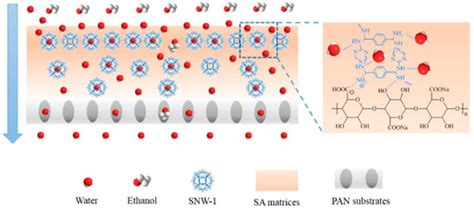 Ongoing Progress on Pervaporation Membranes for Ethanol Separation