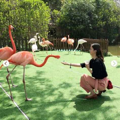 上海动物园好玩还是上海野生动物园好玩？ - 知乎