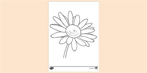 Orange Daisy Flower Colouring Sheet | Colouring Sheets