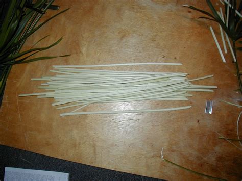 Image result for Papyrus Process