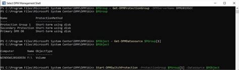 DPM Rename Protection Server 的图像结果