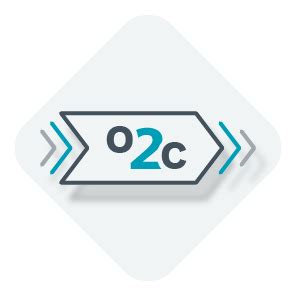 Image result for Payment Collection O2C
