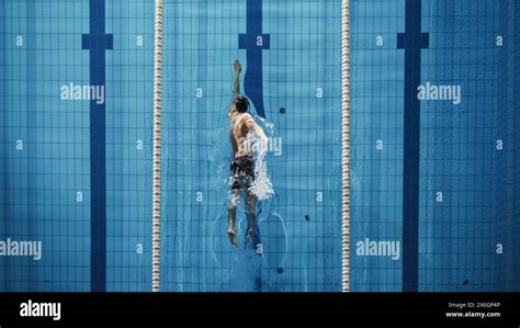 Swimming Men Top View 的图像结果