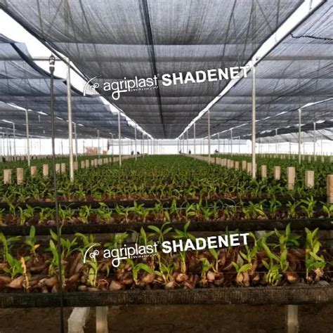 AGRIPLAST GINEGAR SHADING SOLUTIONS - Ginegar Polysack Nets Aluminet 50 ...