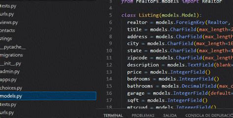 Python Programacion 的图像结果