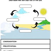 Visual Worksheet: A Journey through States of Water - Science Olympiad ...