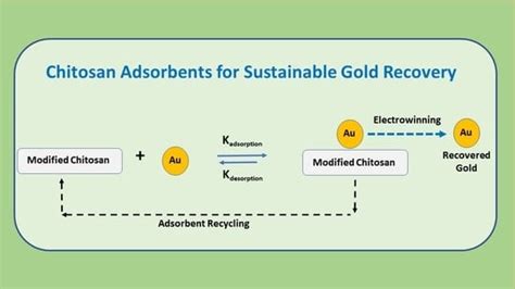 An Overview of Modified Chitosan Adsorbents for the Removal of Precious ...