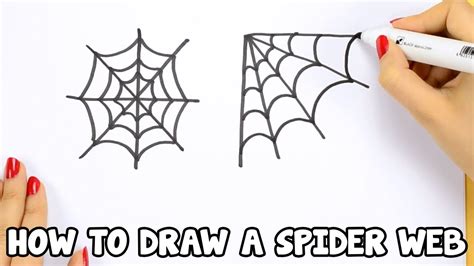 How To Draw Spider s Easy at Ryder Sturdee blog