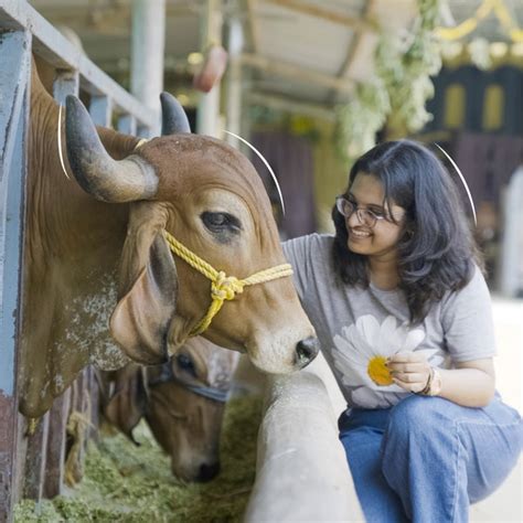 Visit The Farm – Sid's Farm
