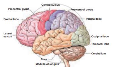 Image result for Cortex-R Vector Table