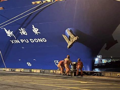 宁波舟山港北仑山码头集装箱吞吐量已超去年总量_腾讯新闻