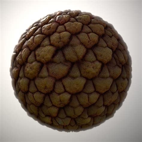 Alien Building Texture 的图像结果