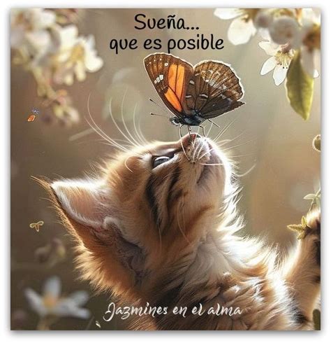 Jazmines en el alma | Santa Rosa