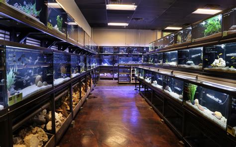 Aquarium Near Me