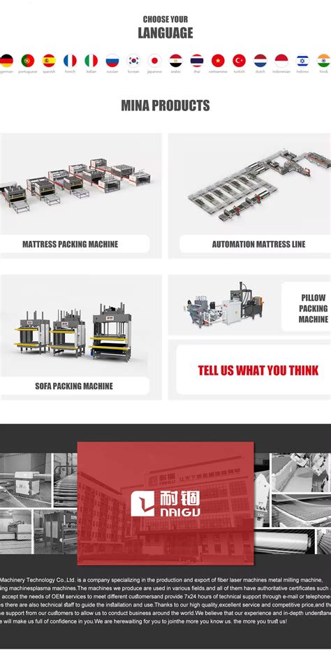 Company Overview - Guangdong Naigu Technology Co., Ltd.
