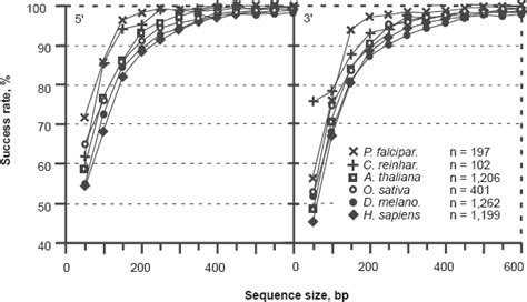 Image result for Simple Coding Frame Example